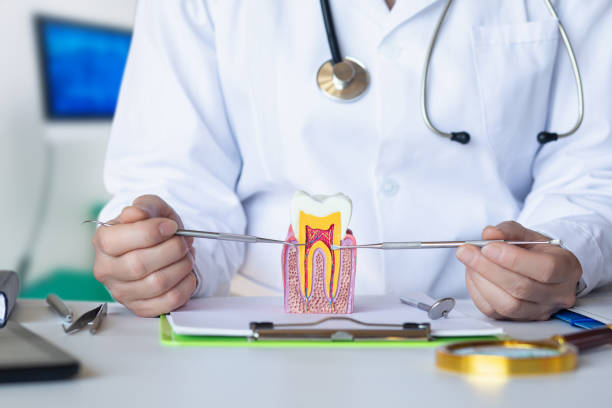 Professional Emergency Dental Service in AR